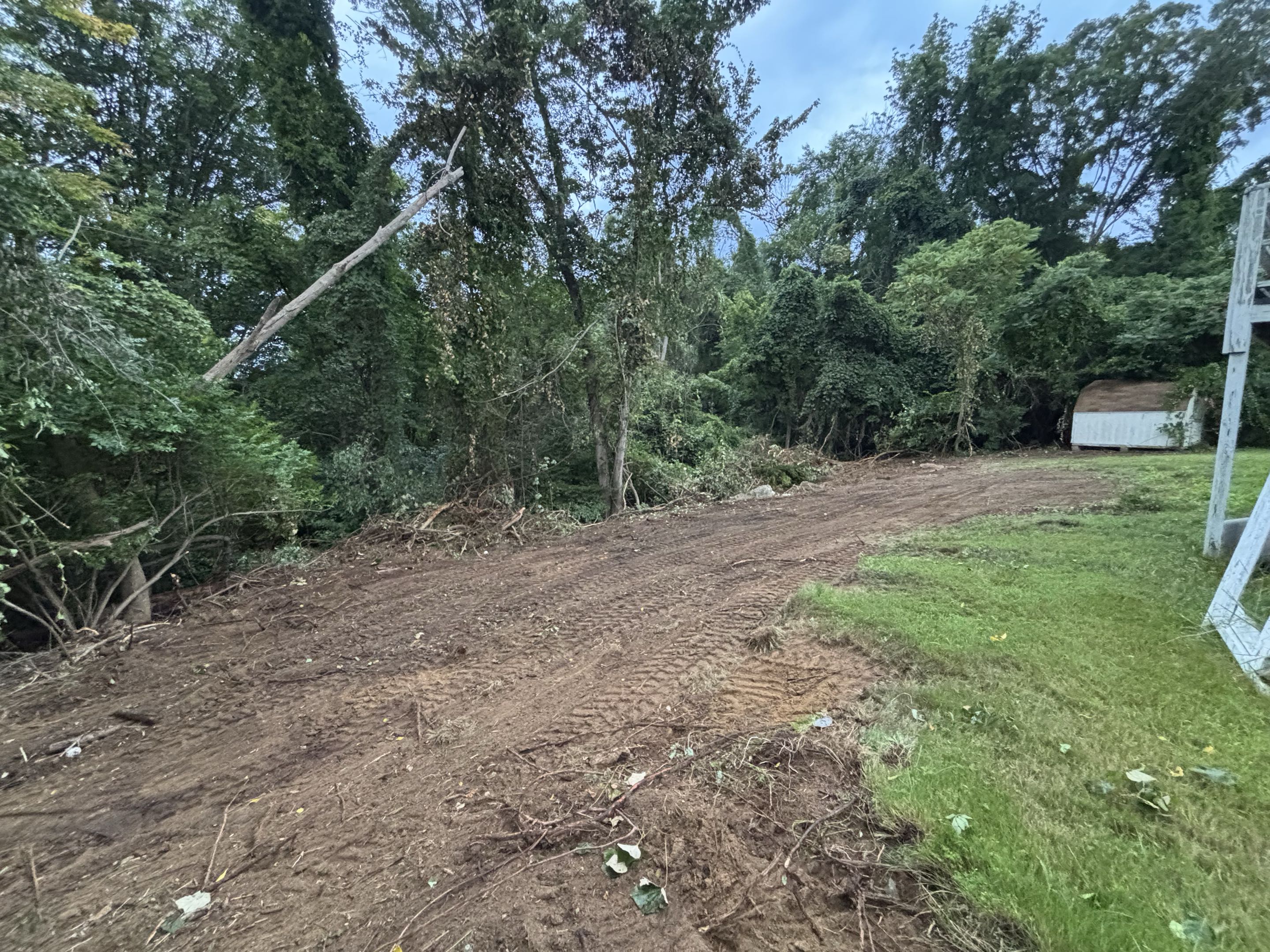 After — shrubs fully removed, area graded